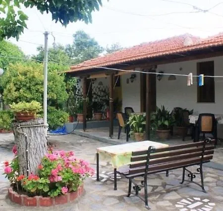 The Garden *